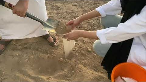 Lab 1  Collection and preparation of soil samples