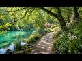 Spring Lake Tea Time Peaceful Birdsong Window View Soft Water Sounds For Deep Focus 