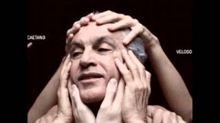 Caetano Veloso - Quando o galo cantou