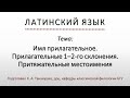 Латинский язык. Lingua Latina. Прилагательные 1–2-го склонения. Притяжательные местоимения