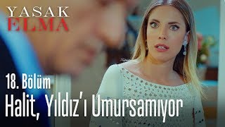 Halit, Yıldız'ı umursamıyor - Yasak Elma 18. Bölüm