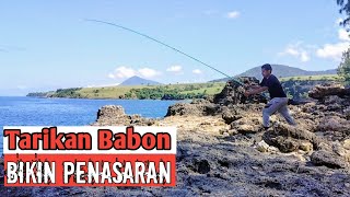 🔥 Tarikan Ikan Selalu Bikin Ketagihan