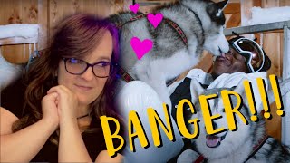 Sunflowergeek's REACTION to KSI - Really Love ft. Craig David