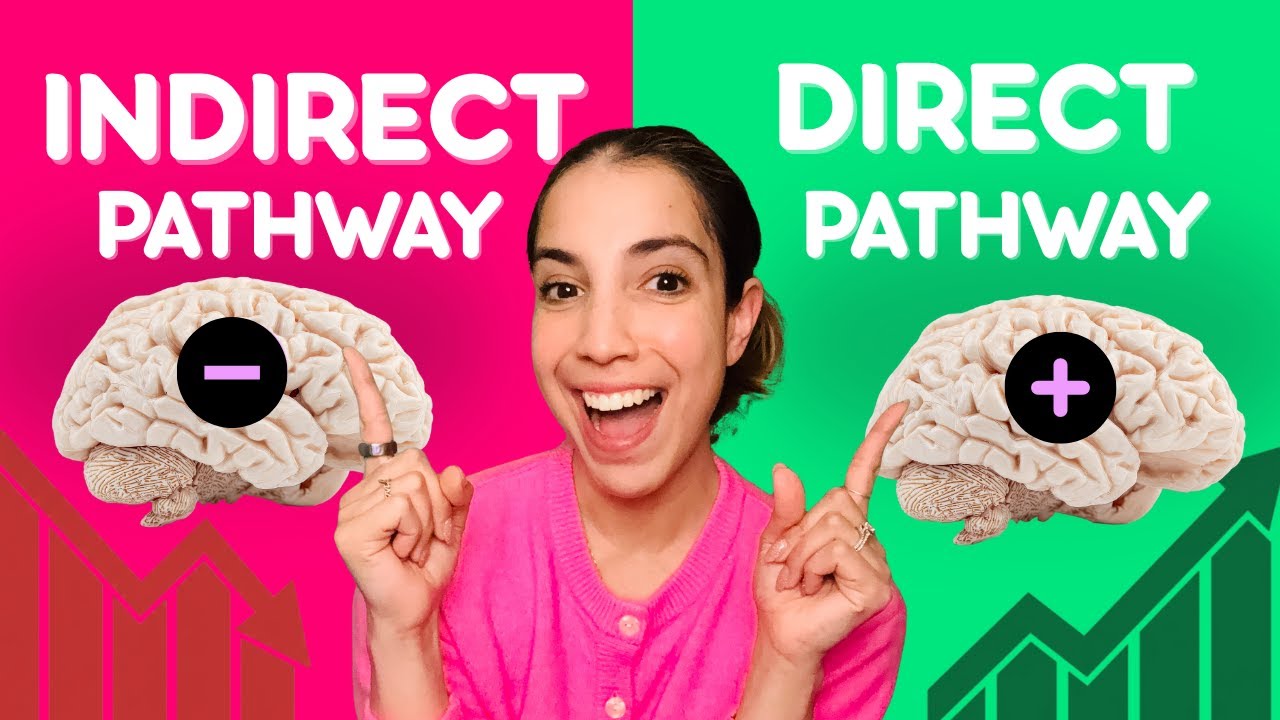 Basal Ganglia: Direct and Indirect Pathway Made Simple for Neuro Physical Therapists
