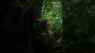 【任然精選】2025流行歌曲合集 🎶 抖音熱搜 | 任然最新單曲精選40首 | Best of Ren Ran 2025 376