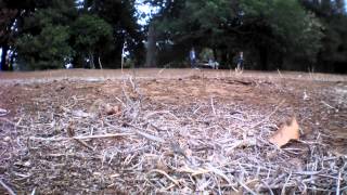video 20120824 111824 2