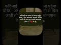 study motivation video #focus #motivation #dreambigstudyhard #inspiration #motivational #stayfocused