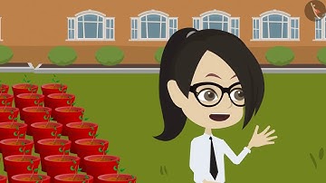 Class 4 Maths Chapter 11