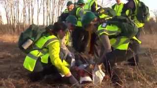 Cert Practice WBL