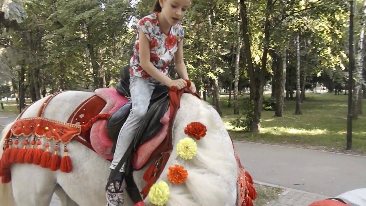 Катаюсь на лошадке по имени Багет - YouTube