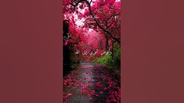 وأفوض أمري إلى الله #قران_كريم #تلاوات خاشعة #مقاطع قصيرة#quran #راحة نفسية