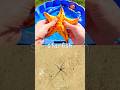 Kids Learn | Sea Animal Names with Toys: Lemon Shark Penguin Starfish Turtle Dolphin
