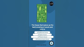 Tissues class 9 MCQ | Tissues MCQ ➤2