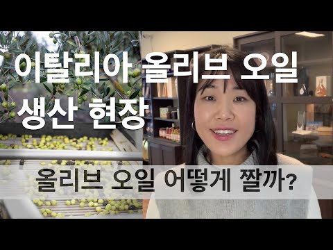 올리브오일은 어떻게 만들어지나ㅣ 이탈리아 시칠리아 올리브오일 생산 현장에 가다