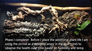 True Naturalistic Exo-Terra Vivarium SETUP - Part 1