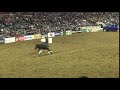 Dena kirkpatrick at the 2018 denver stock show and rodeo