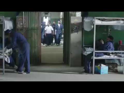 مسلسل الكبير اوي الجزء الخامس احمد مكي الحلقه 9 