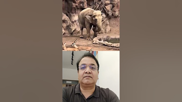 Elephant’s Unexpected Act of Kindness Caught on Camera!