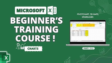 Microsoft Excel | PivotChart, 3D Maps, Sparklines Part 2