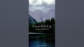وفي الارض آيات للموقنين | القارئ : اسلام صبحي |