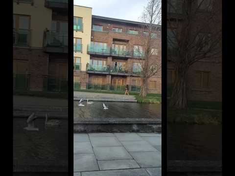 الله هوا الذي انزل السكينه في قلوب المؤمنين ادعيه دينيه فرج قريب اللهم صل وسلم على نبينا محمد 