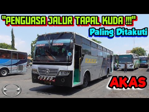 Download "PENGUASA JALUR TAPAL KUDA !!!" | Trip Report Bus AKAS