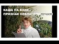 КАША НА ВОДЕ - ПРИЗНАК НЕБЛАГОПОЛУЧИЯ! АТАКА ШКОЛЫ НА СЕМЬЮ