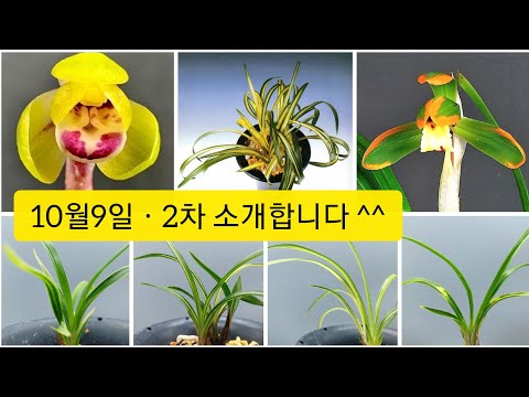 유튜브 썸네일