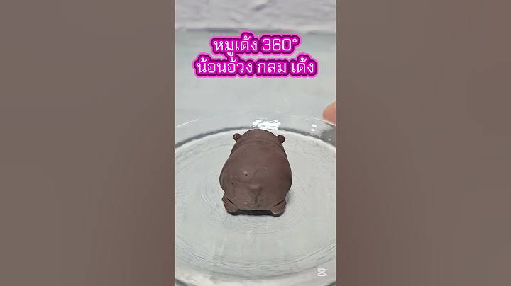 หมูเด้งรันทุกวงการไม่ใช่เรื่องล้อเล่น น้อนมีช็อกโกแลตแล้วนะ มากิน Moo Deng Chocolate กัน