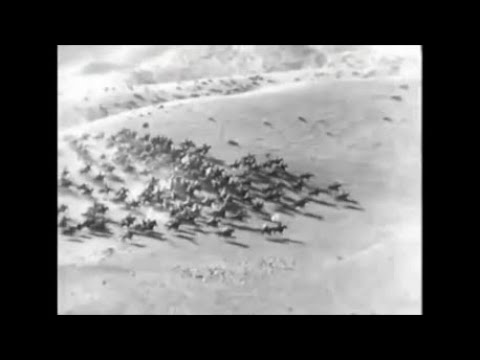 \"გიორგი სააკაძე\" - \"ხერხი სჯობია ღონესა...\" (giorgi saakadze)