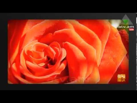 Video: 7 գաղափար վարդեր բարձրանալու համար