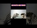 Quando lo Sciamano incontrÃ² l'Indominus e l'Indoraptor nell'aldilÃ  ðŸ˜‡ðŸ¦–