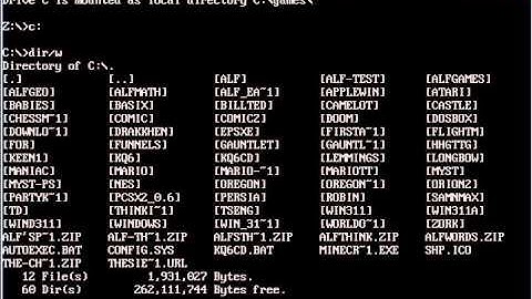 How to start a game in DosBox - tutorial