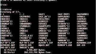 How to start a game in DosBox - tutorial