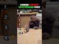Ranking FUNNIEST Cats CAUGHT STEALING FOOD!! 😹😂 #funny #cats #catvideos #catshorts #viral