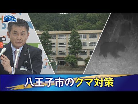 くまごろうページ Rising Bear Sightings: Middle School Surrounded by Mountains in