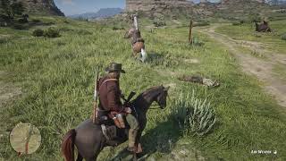 Hey! Need a hand with your horse? | RDR2