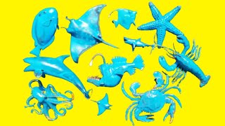 Collect 7 Sea Animals Clown Fish, Hammerhead Shark, Orca Whale, Hermit Crab, Goblin Shark, Sailfish