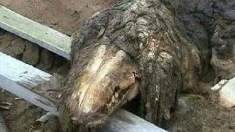 Addendum 682-B | Lost Files