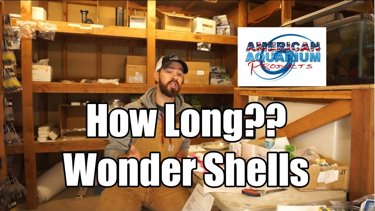 How Long Do Wonder Shells Mineral Block Last?