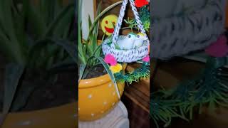 Hanging Birds #decorideas #hangingdecor #renuchattri #gardendecorideas #homedecor