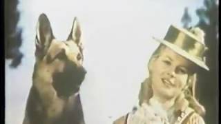 1970's Vintage Gaines Gravy Train Dog Food Rin Tin Tin Commercial