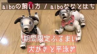 期間限定ふるまい「aiboの犬かきと平泳ぎ」2018