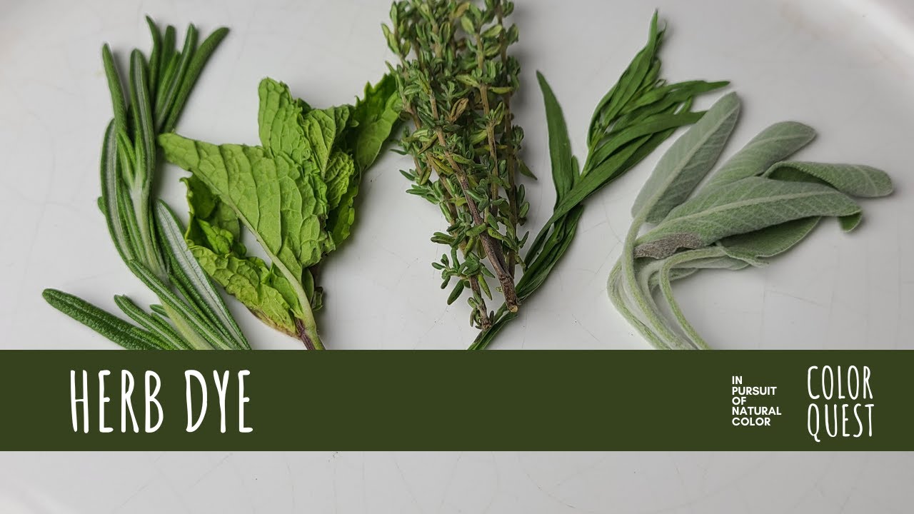 How To Make Natural Dyes From Plants