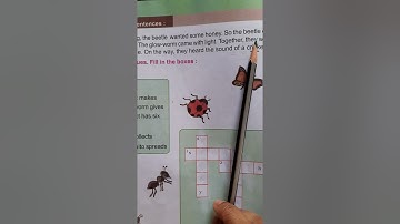 Amar boi class 2, part 2, page - 127,130,133