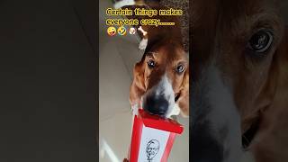 Selfie Goes Crazy.#shorts#youtubeshorts#viral#trending#cute#dog#basset hound#food#funny#comedy