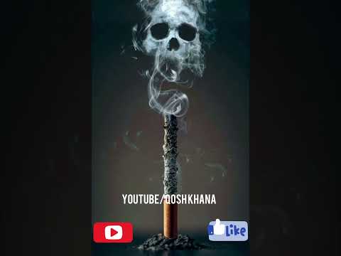 صد برگ سفید شکیب عزیزی صوفی شاهین تغه شیخعلی جدید 2023 