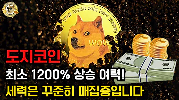 도지코인 최소 1200 상승 여력 세력은 꾸준히 매집 중입니다