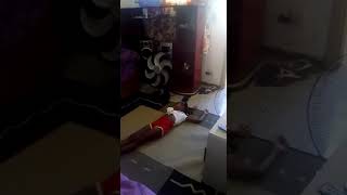 Minha Filha Linda D 5 Anos Arrasando Dançando Q Tiro Foi Esse