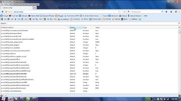 How to Disable/Enable Javascript in Firefox 25 | Latest
